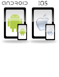 Mobile Security for Android and iOS