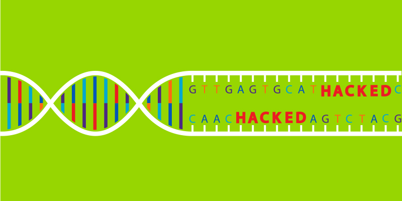 Cyber News Rundown: MyHeritage Breached